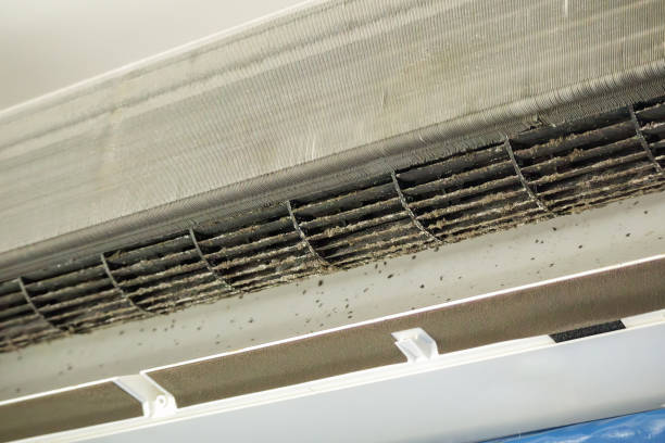 Best HVAC System Cleaning  in Tara Hills, CA